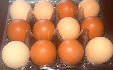 Carton of mixed brown and white eggs.