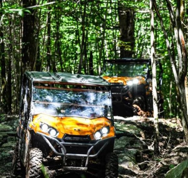 Two orange off-road vehicles in a dense forest.