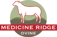 Medicine Ridge ovine
