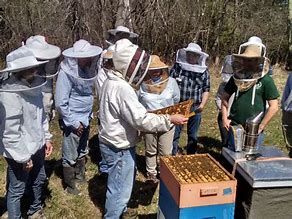 Information for Beekeepers