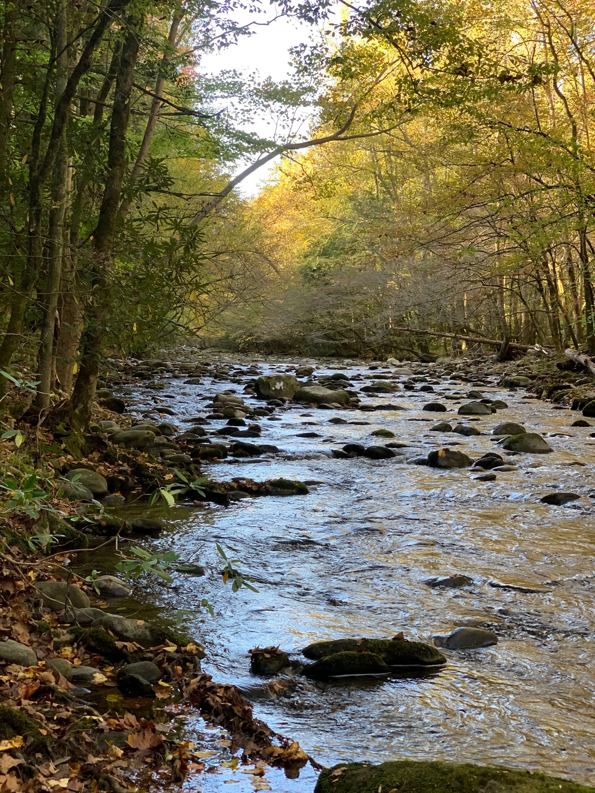 Sound Mind Counseling