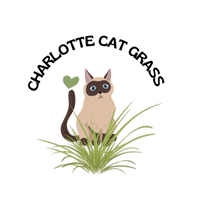 Charlotte Cat Grass