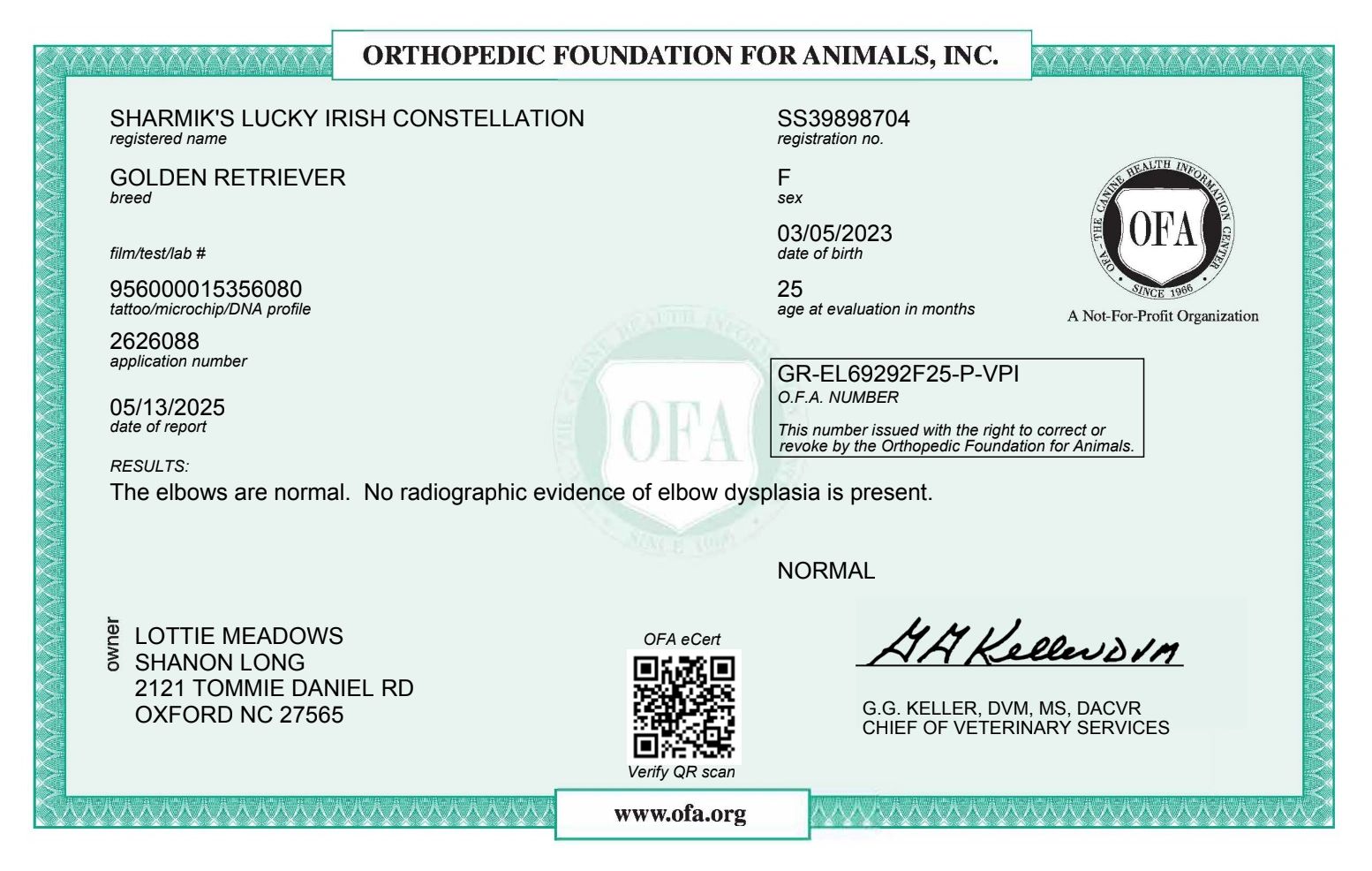 Orthopedic certification for a Golden Retriever with normal elbows.