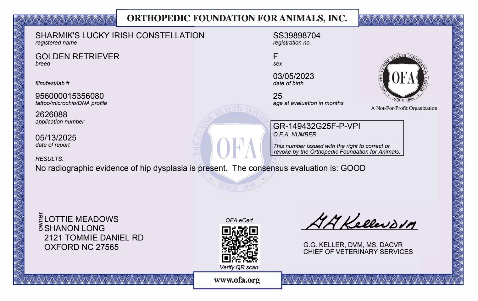 Orthopedic Foundation for Animals certificate for a Golden Retriever.