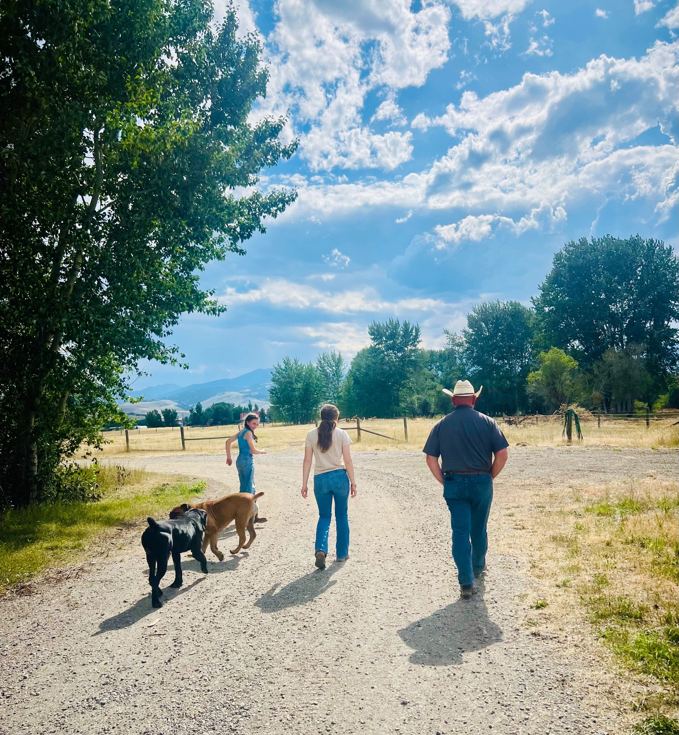Family walking with their dogs along a dirt road on a rural Montana farm under a bright summer sky