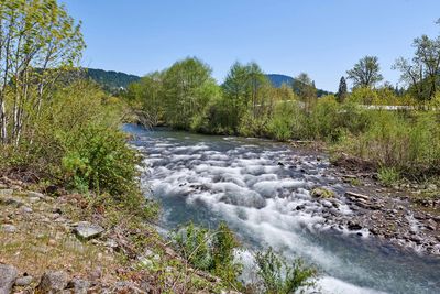 Salmon Creek right beside RV Park