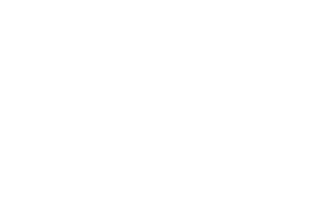 Lynch Partners