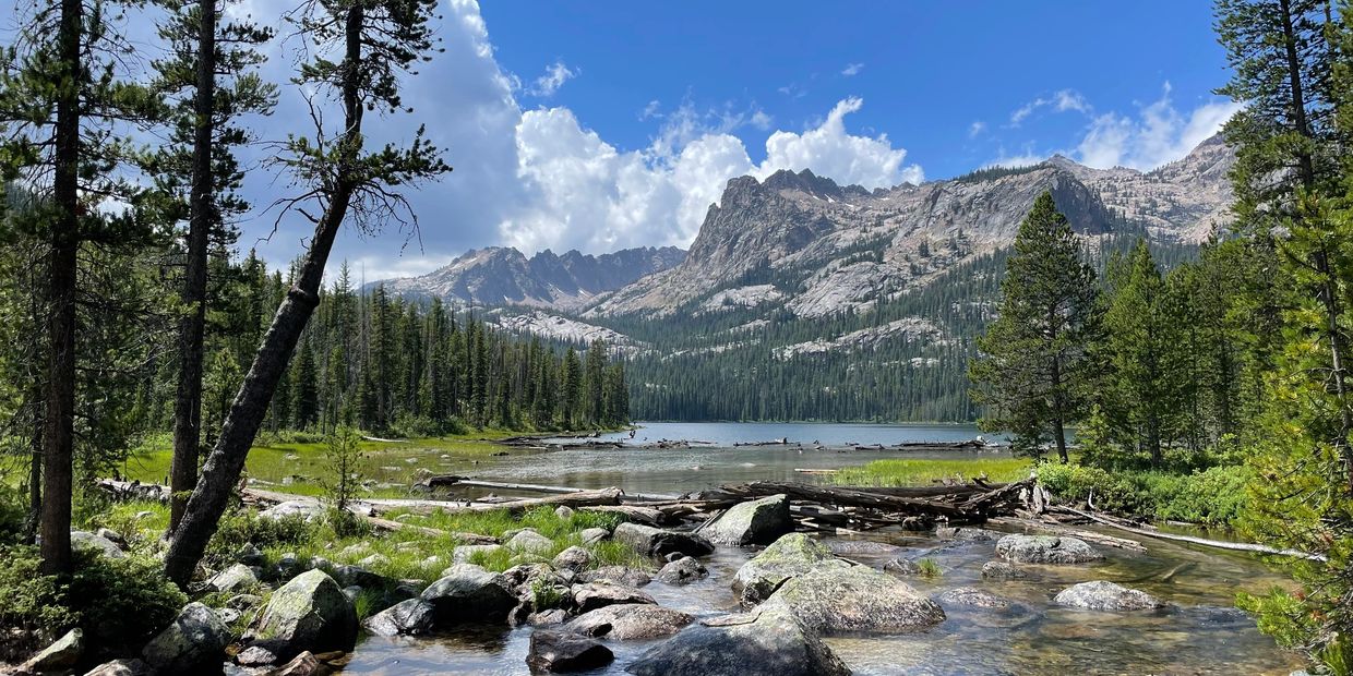 The beauty of the world is just outside our door.