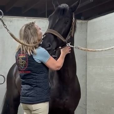 Vrouw omhelst een zwart paard in een stal.