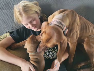 Our daughter, Avery, with Medley and DARK GREEN puppy from Relay's 2023 litter.