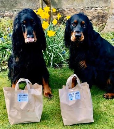 Two black dogs with two paper bags