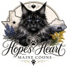 Hope's Heart Maine Coons