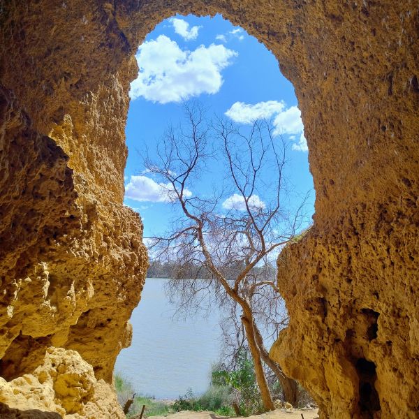 Tree seen through rock formations by a water body.