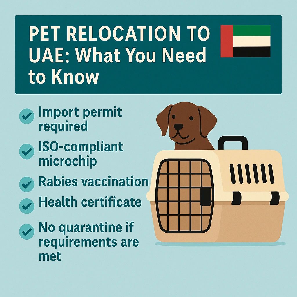 Travel to Uae Requirements: Essential Guide for Smooth Entry 2025