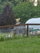 Earth Kind Acres