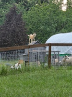 Earth Kind Acres