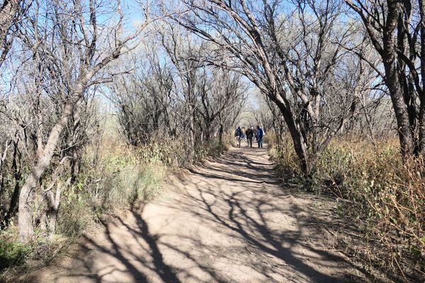 San Pedro Trail at Fairbank, Arizona