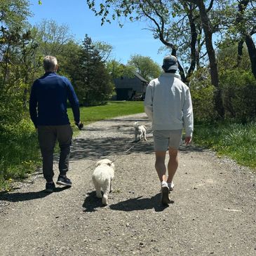 Two people walking dogs on a sunny path.