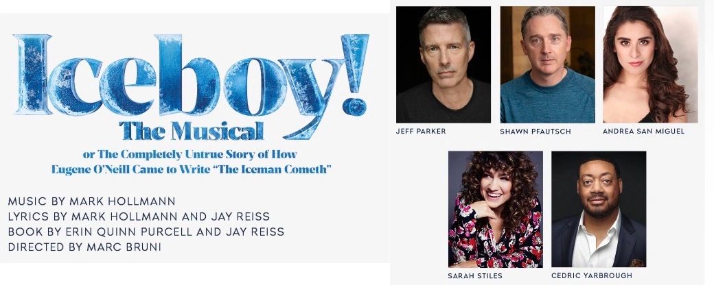 Promotional poster for Iceboy! The Musical featuring cast photos and credits.