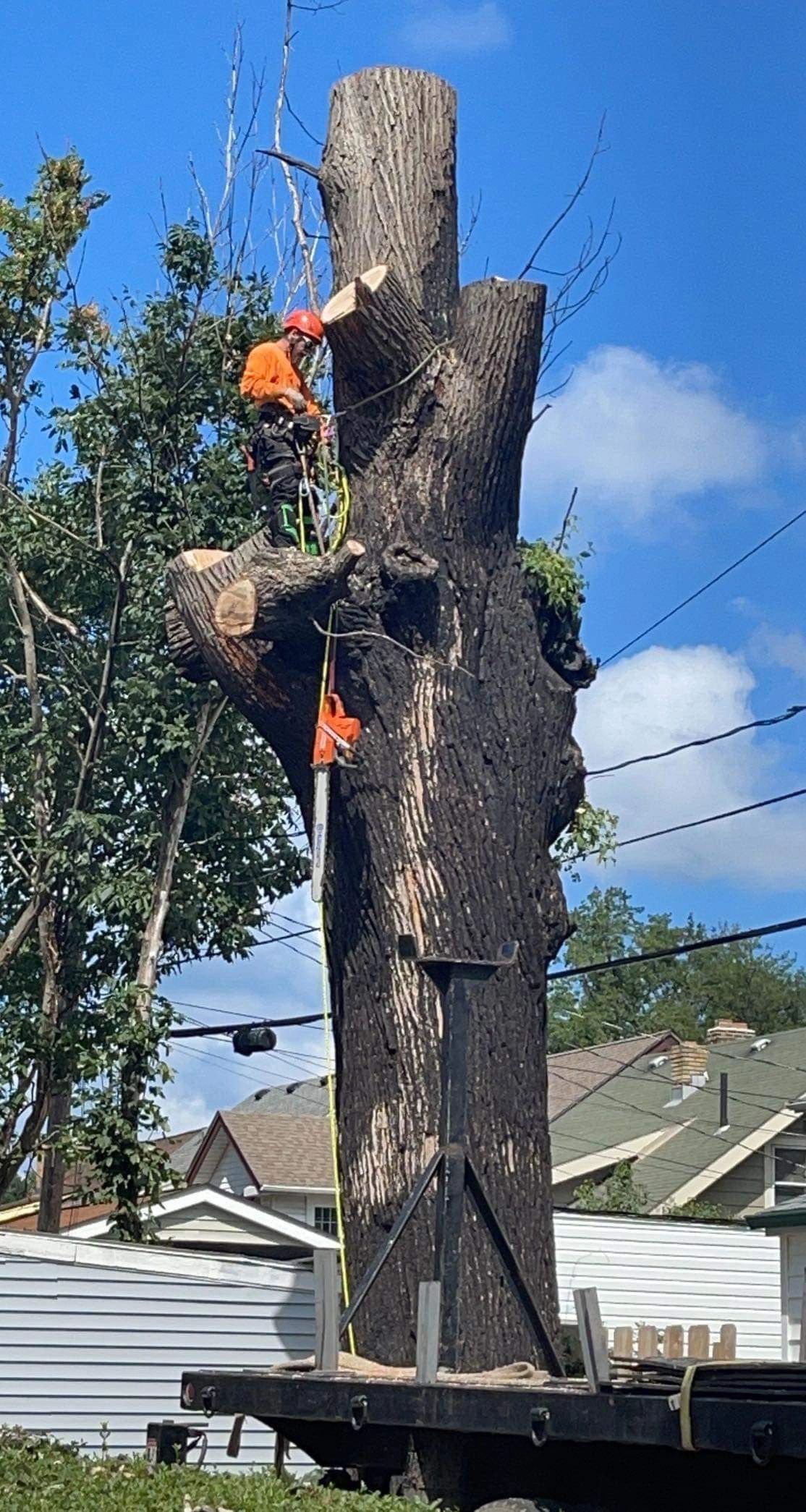 Tree Service Full circle tree service and custom furniture