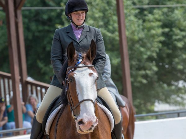 Horse riding and wagon competition at the horse fair.