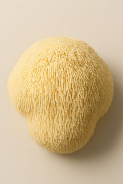 A close-up of a pale yellow, textured, mushroom-like object.