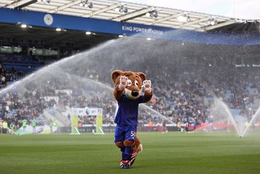 Filbert Fox of Leicester City