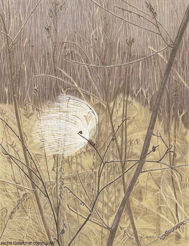 December Perseverance, Coloured Pencil with Watercolour and Gel Ink, Unframed 13"h x 10"w.
