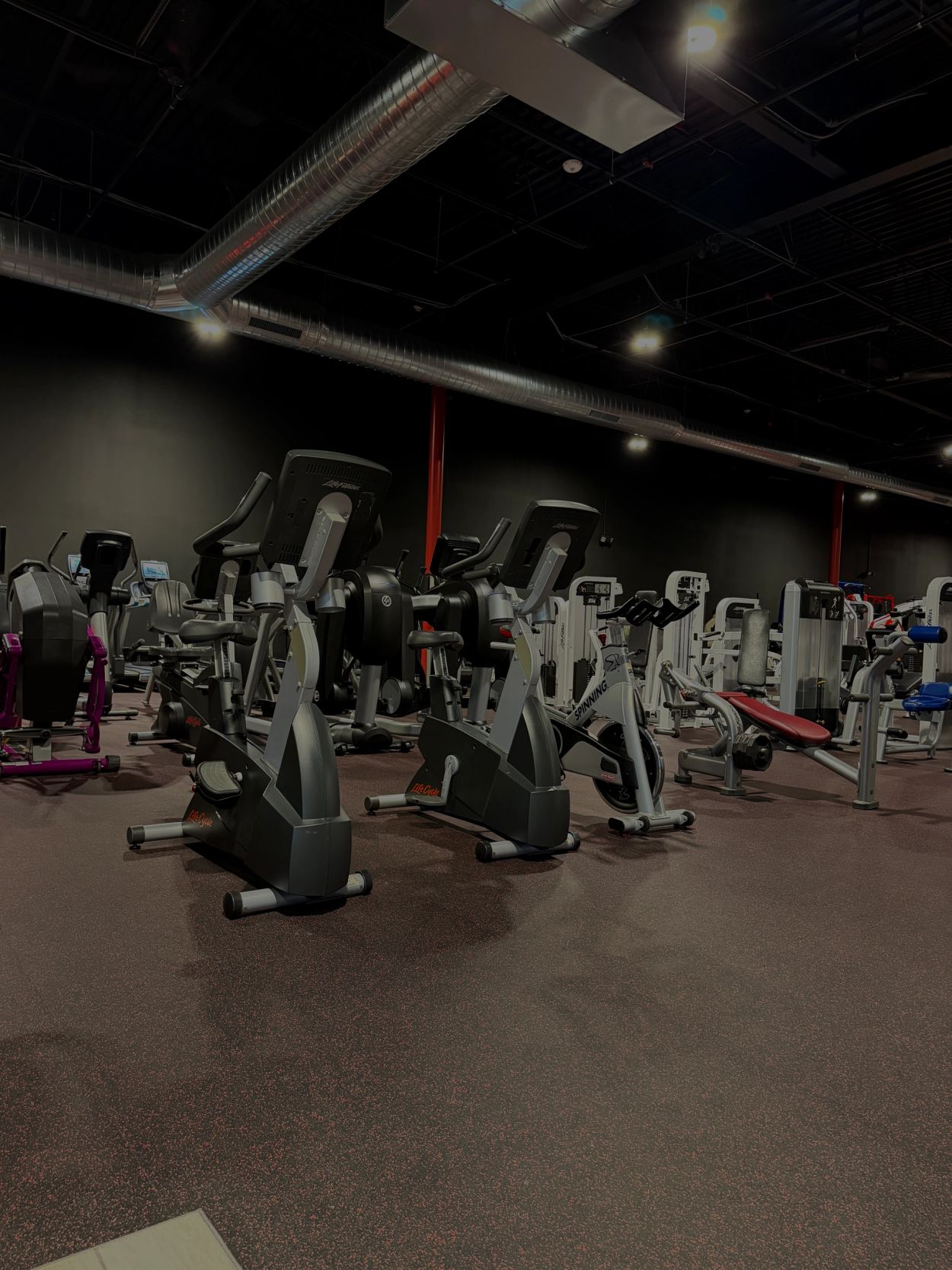 Gym with exercise bikes and workout machines.