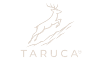 Taruca