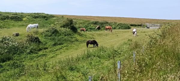 Footpath from Samphire Hoe to Caple.White cliffs of dover.Saxon shore way.English Coastal Path. 