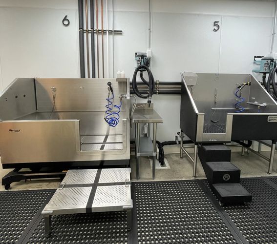 Large Tub #5 and 60" Large Special Adjustable Height Tub #6 at Dirty Pet Wash in Mission Viejo