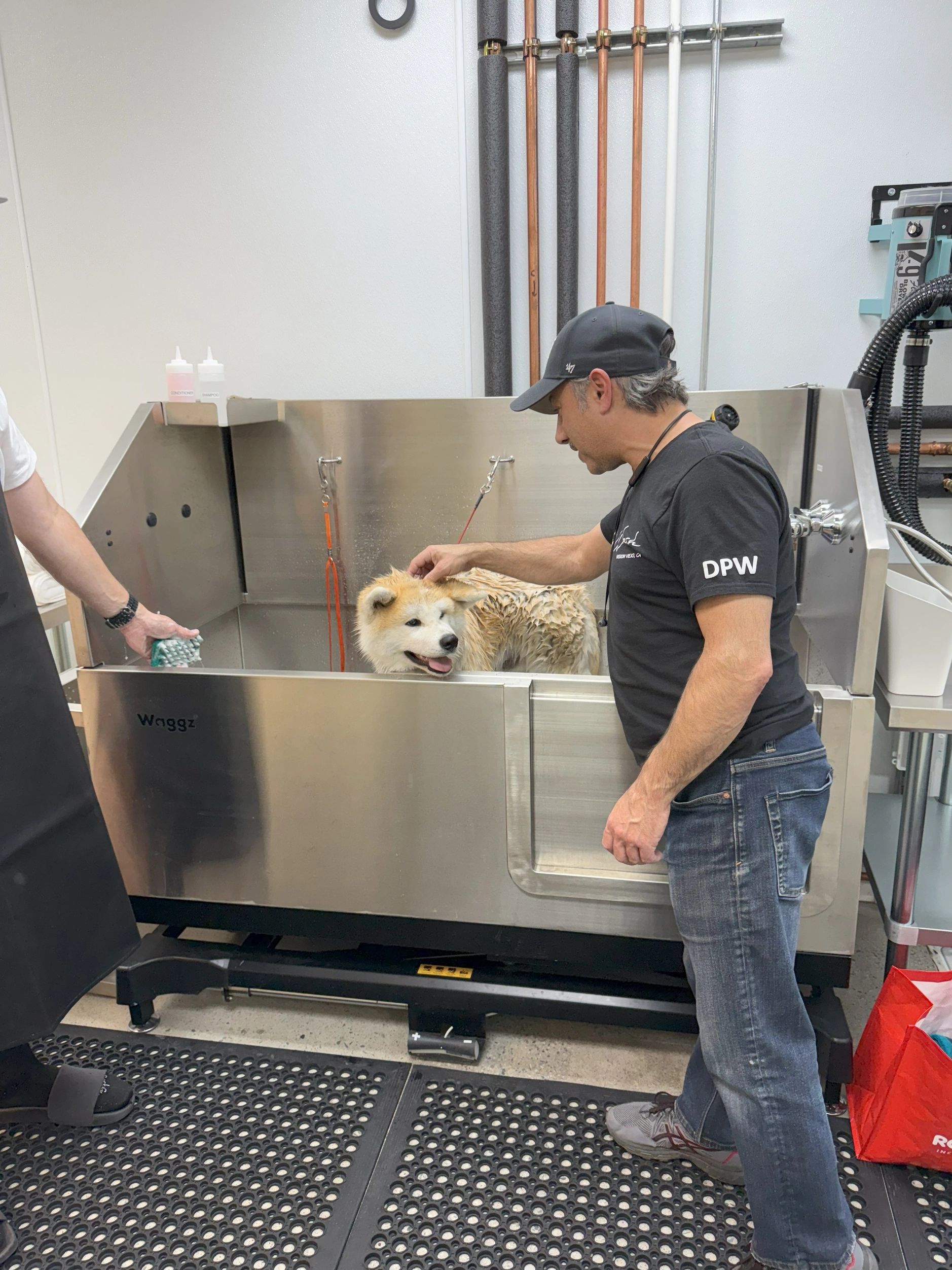 Self Serve Dog Wash in Special Large Adjustable Height Lift Tub #6