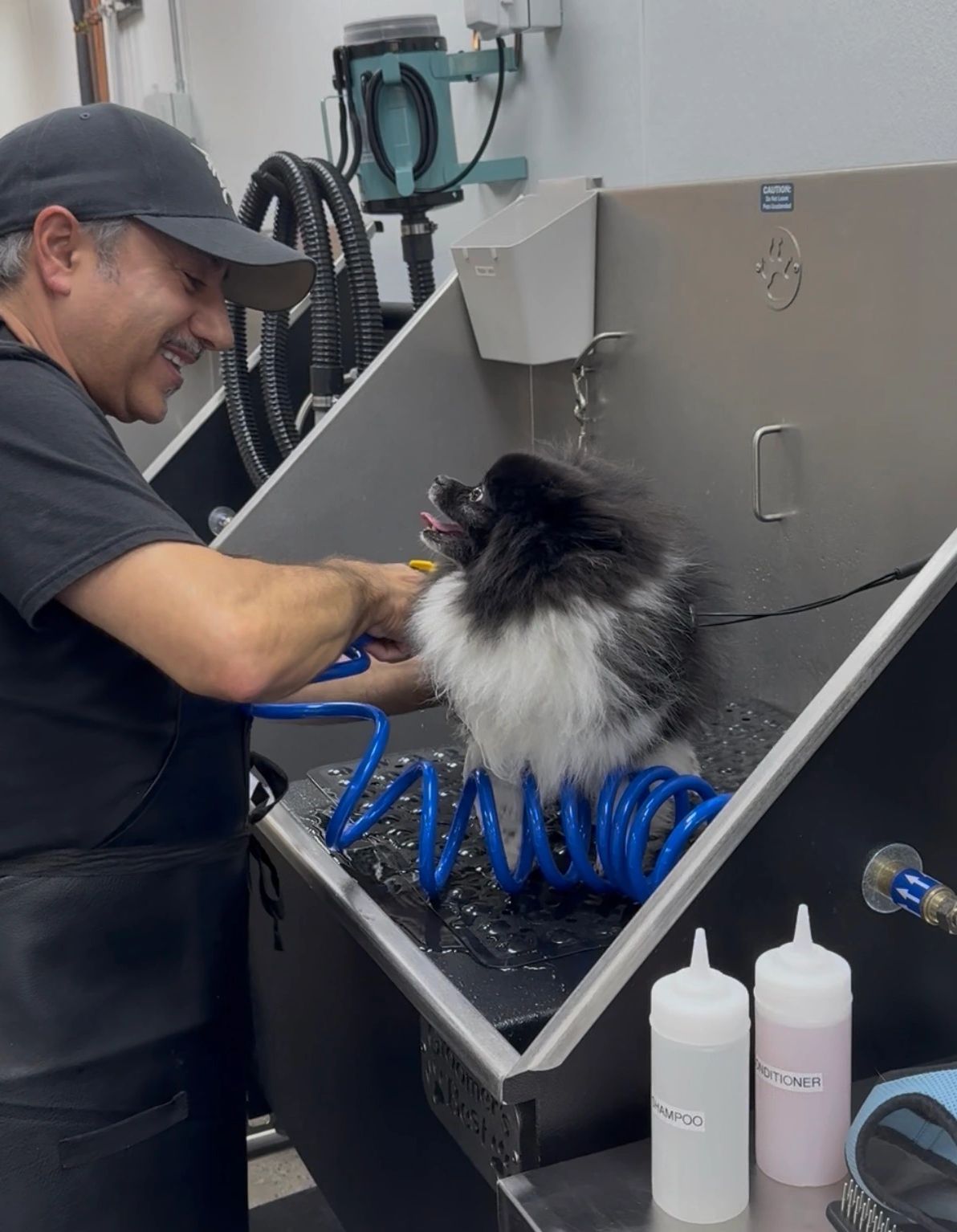 Full Service Dog Wash