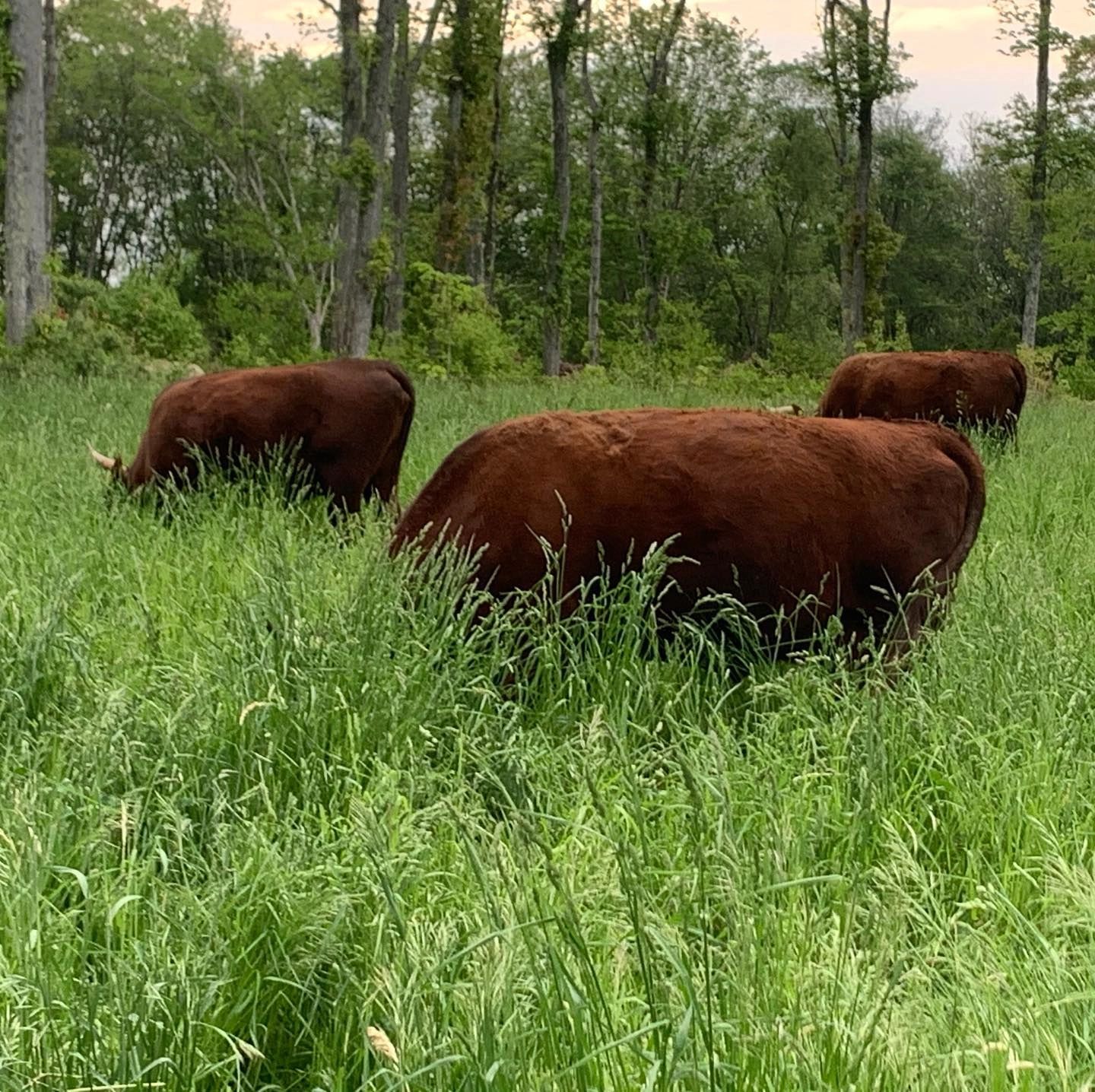 Farm or product image