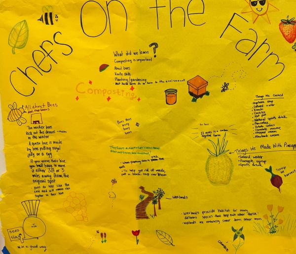 Random images from Chef Ron’s past cooking adventures. Scroll down to view and download recipes. 