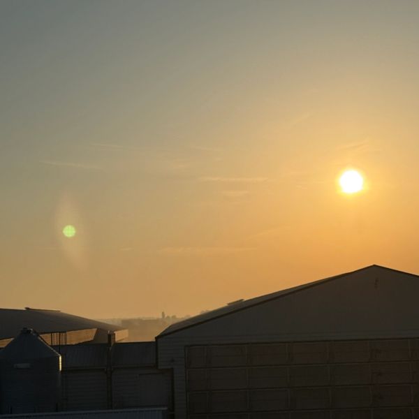 Sunset over industrial buildings with a clear, warm sky.