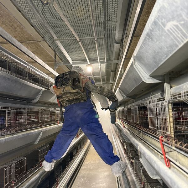 Worker disinfecting rows of cages in an industrial poultry farm.