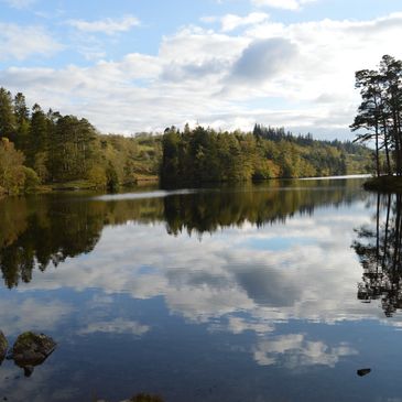 Booths Windermere - Windermere - Visit Lake District