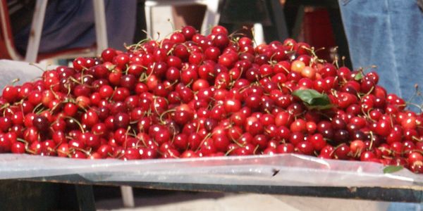 A pile of cherries on a table
