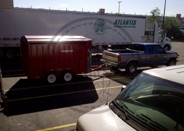 delivering lambs to the airport to be crated for their flight