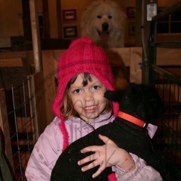 Child holding Babydoll lamb