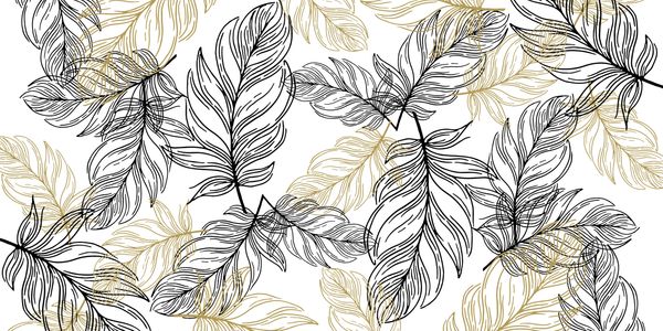 Fancy Feathers