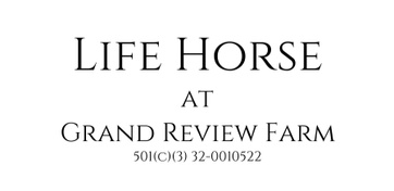 LIFE HORSE
at 
Grand Review Farm