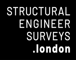 Structural Engineer Surveys