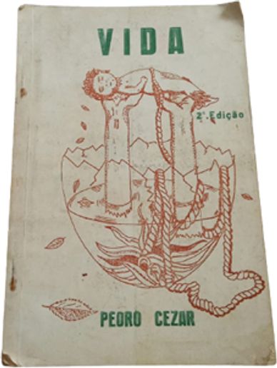 Book cover of 'Vida' by Peoro Cezar with an artistic illustration and green text.