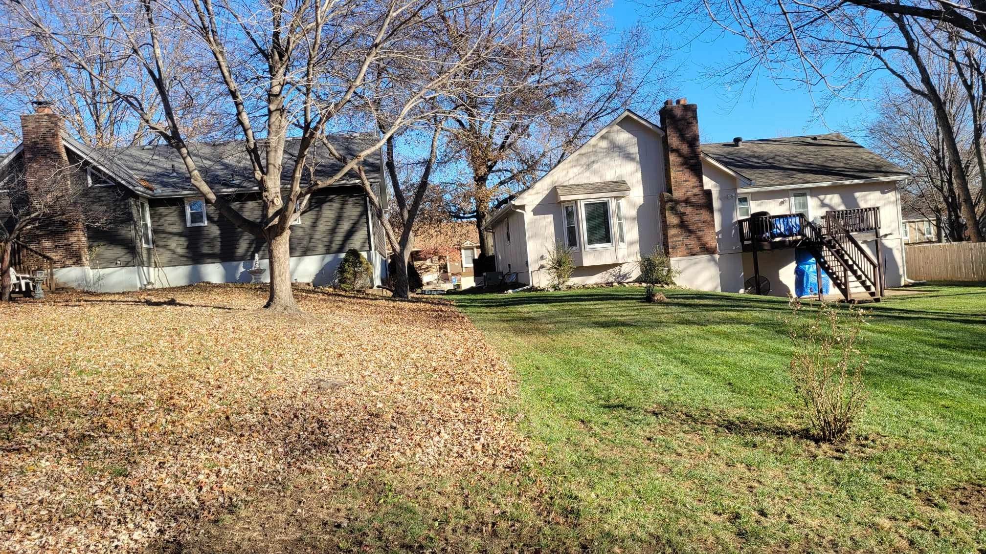 lawn-treatment-schedule-pristine-cuts