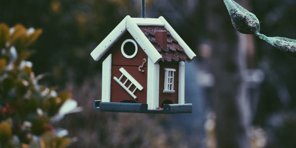 Closeup Photo of Red and White Bird House