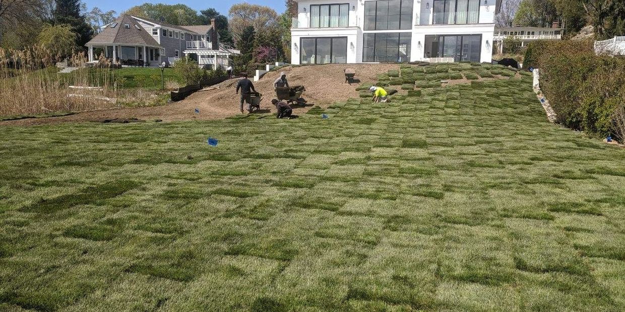Sod crew installing sod in Braintree, MA