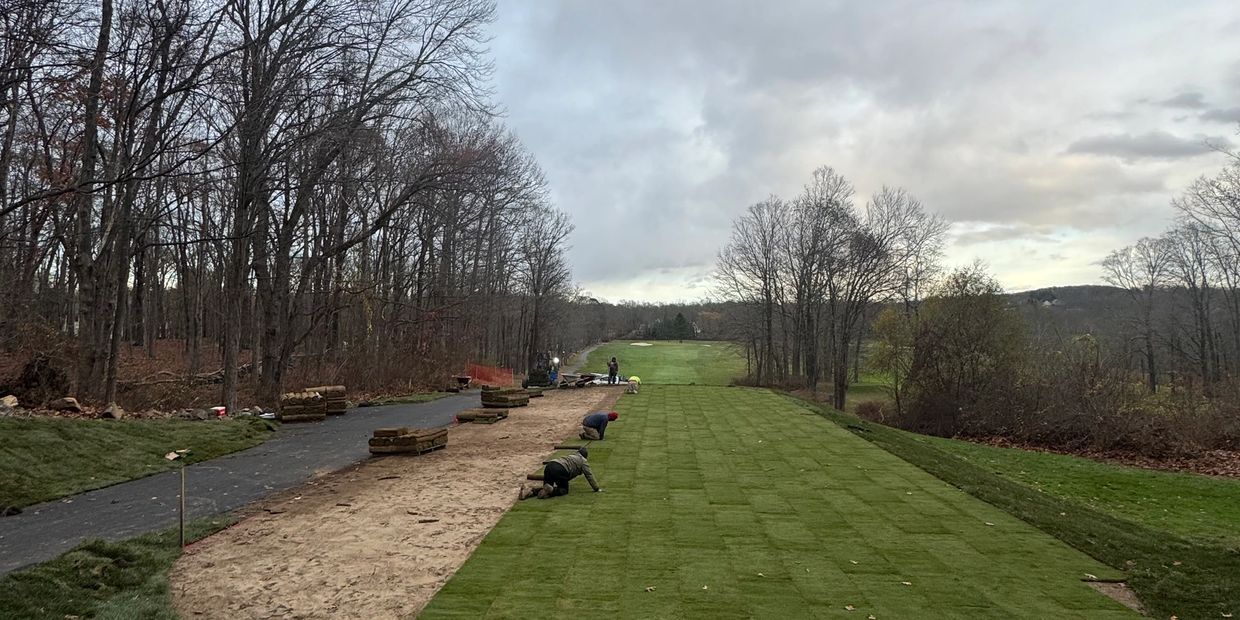 Crew installing bentgrass sod rolls over prepped sand on a golf course fairway in Connecticut